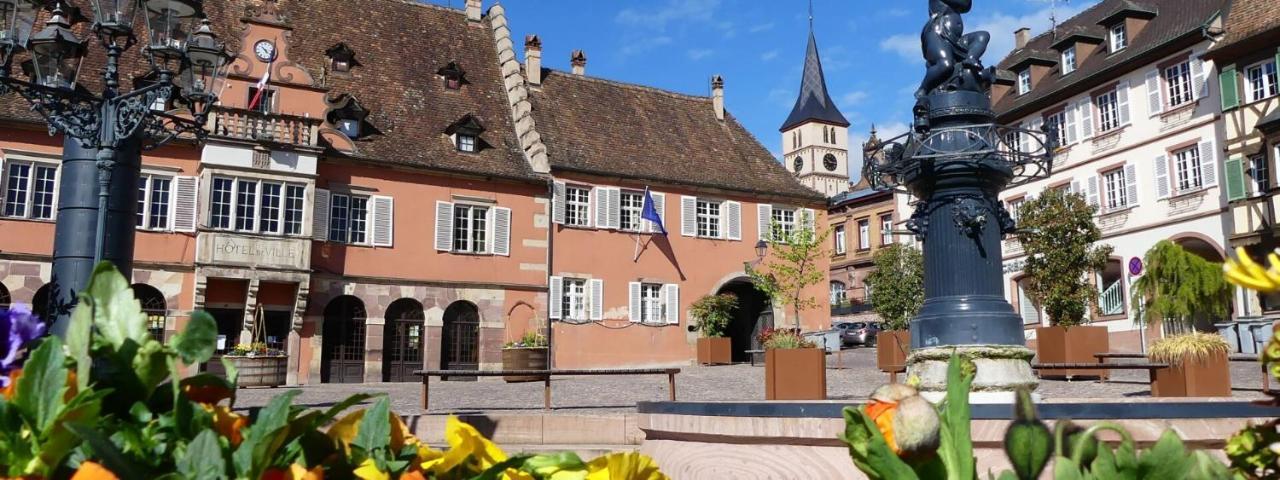 La Curiosite - Appartement 2 Chambres A Barr, Route Des Vins D'Alsace Exterior foto